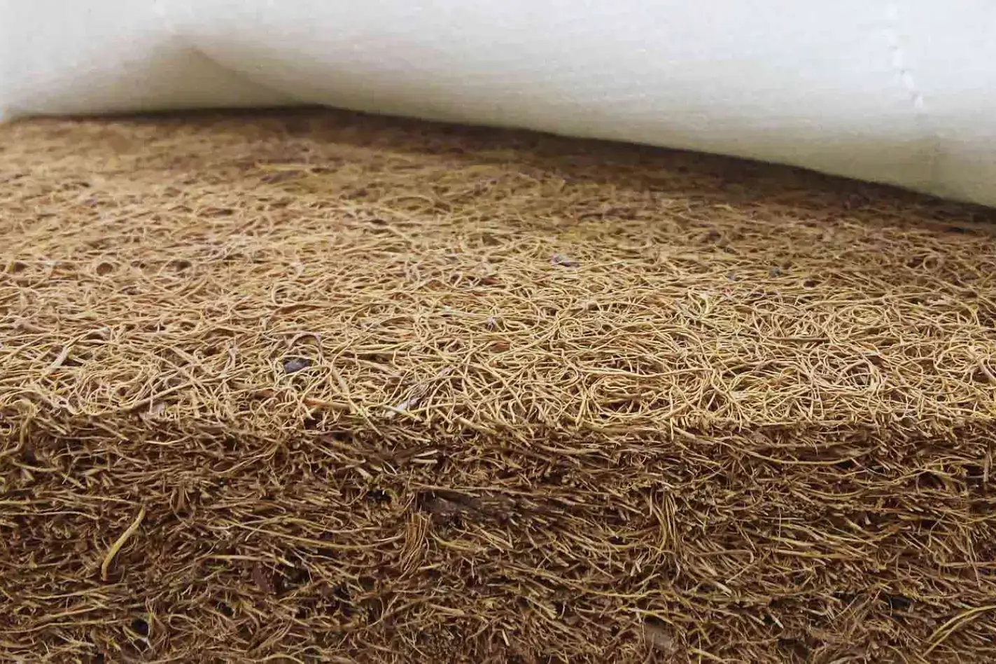 Кокосовая койра