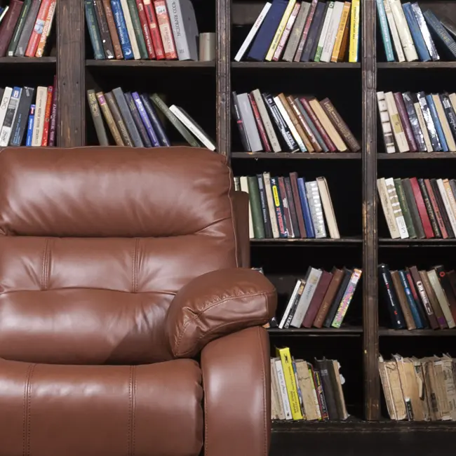 Комфорт дивна Рей