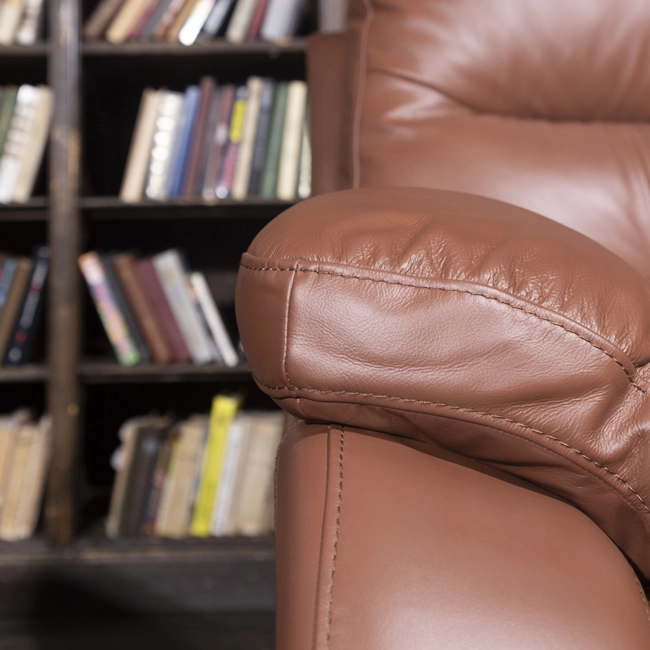 Комфорт дивна Рей